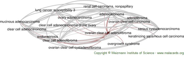 Diseases related to Ovarian Clear Cell Adenofibroma
