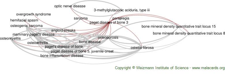 Diseases related to Paget Disease of Bone 3
