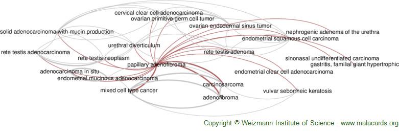 Diseases related to Papillary Adenofibroma