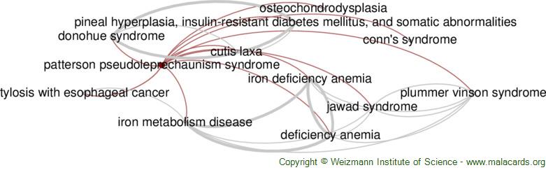 Diseases related to Patterson Pseudoleprechaunism Syndrome