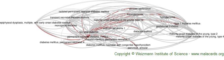 Diseases related to Permanent Neonatal Diabetes Mellitus