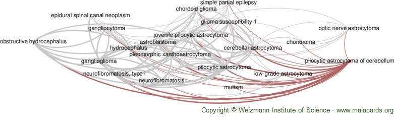 Diseases related to Pilocytic Astrocytoma of Cerebellum