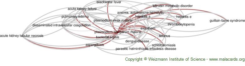 Diseases related to Plasmodium Falciparum Malaria