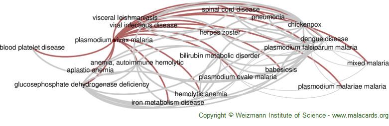 Diseases related to Plasmodium Vivax Malaria