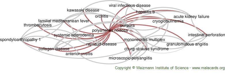 Diseases related to Polyarteritis Nodosa
