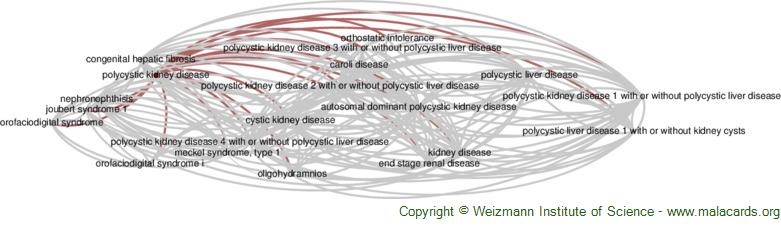 Diseases related to Polycystic Kidney Disease