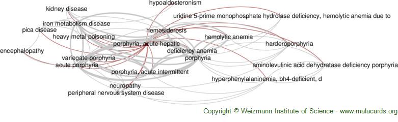 Diseases related to Porphyria, Acute Hepatic