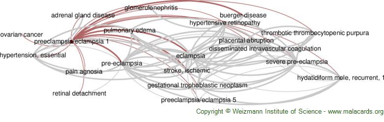 Diseases related to Preeclampsia/eclampsia 1