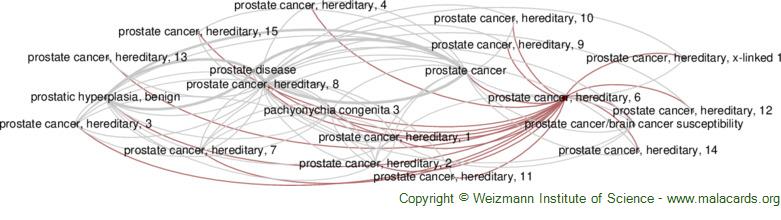 Diseases related to Prostate Cancer, Hereditary, 6