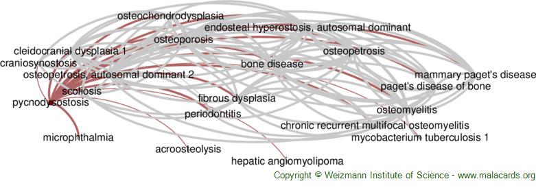 Diseases related to Pycnodysostosis