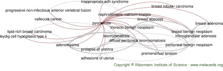 Diseases related to Pyometritis