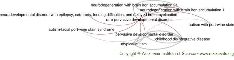 Diseases related to Rare Pervasive Developmental Disorder
