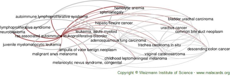 Diseases related to Ras-Associated Autoimmune Leukoproliferative Disorder