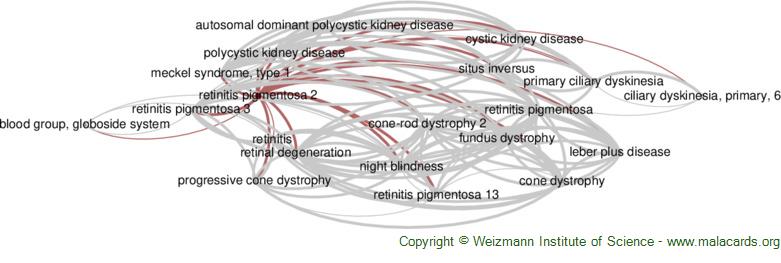 Diseases related to Retinitis Pigmentosa 2