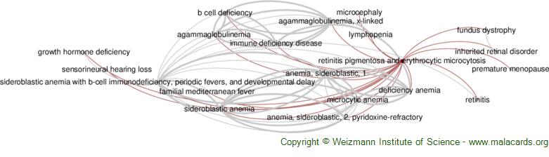 Diseases related to Retinitis Pigmentosa and Erythrocytic Microcytosis