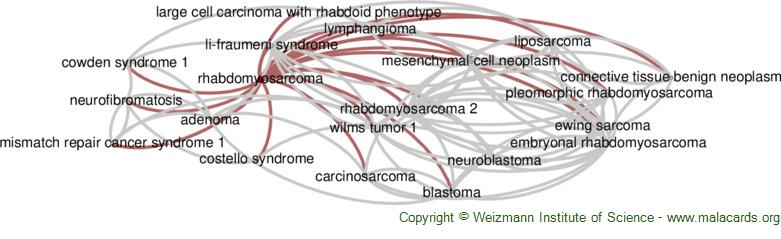Diseases related to Rhabdomyosarcoma