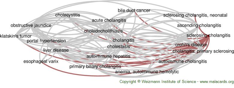 Diseases related to Sclerosing Cholangitis