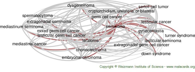 Diseases related to Seminoma