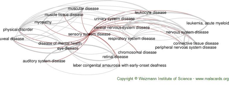 Diseases related to Sensory System Disease
