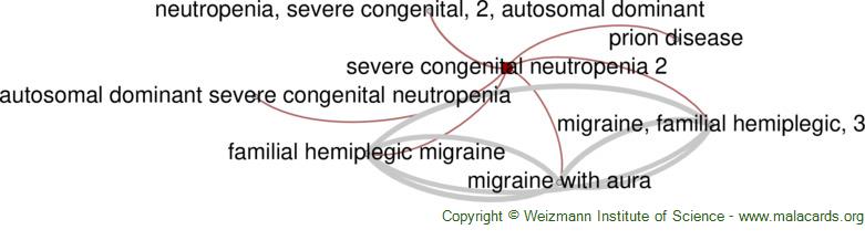 Diseases related to Severe Congenital Neutropenia 2