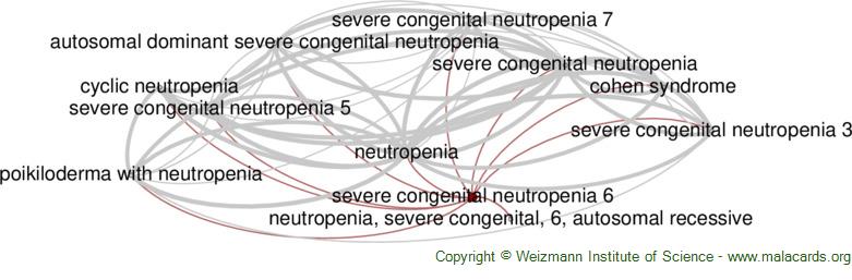 Diseases related to Severe Congenital Neutropenia 6