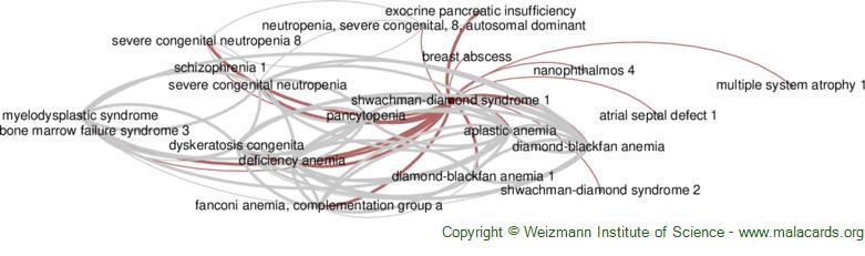 Diseases related to Shwachman-Diamond Syndrome 1