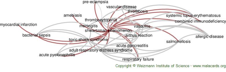 Diseases related to Shwartzman Phenomenon