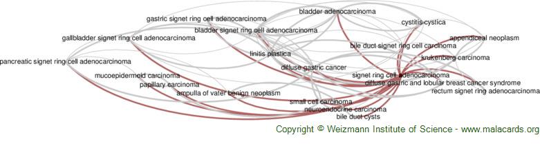 Diseases related to Signet Ring Cell Adenocarcinoma