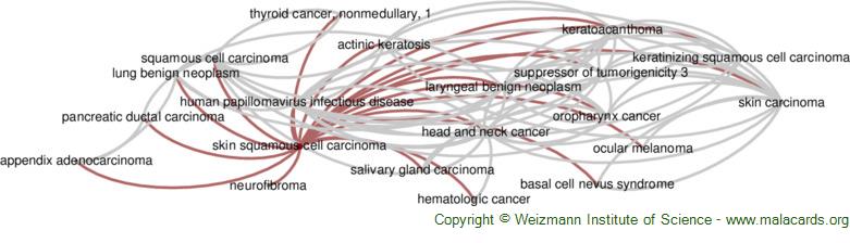 Diseases related to Skin Squamous Cell Carcinoma