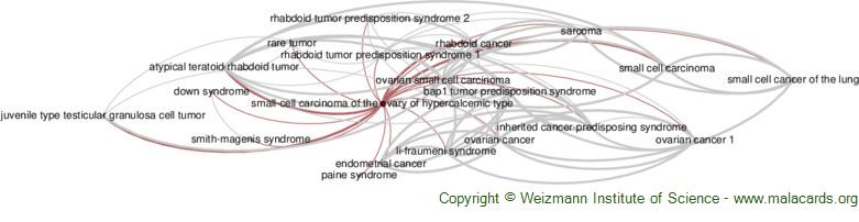 Diseases related to Small-Cell Carcinoma of the Ovary of Hypercalcemic Type