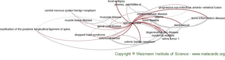 Diseases related to Spinal Disease