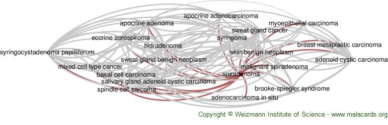 Diseases related to Spiradenoma