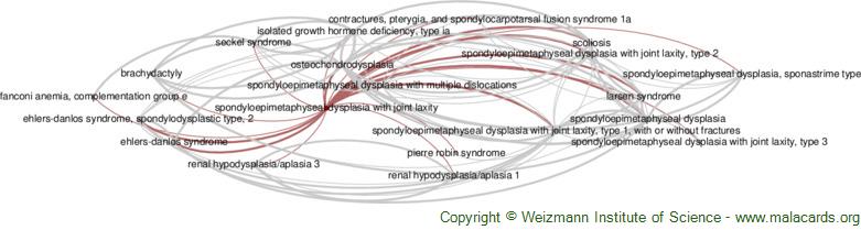 Diseases related to Spondyloepimetaphyseal Dysplasia with Joint Laxity