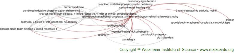 Diseases related to Spondyloepimetaphyseal Dysplasia, X-Linked, with Hypomyelinating Leukodystrophy