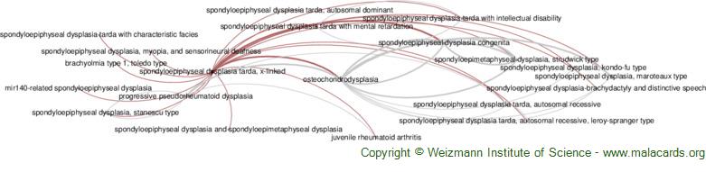 Diseases related to Spondyloepiphyseal Dysplasia Tarda, X-Linked