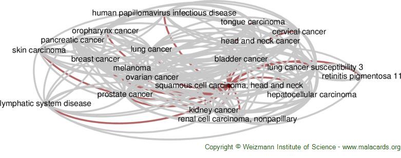 Diseases related to Squamous Cell Carcinoma, Head and Neck