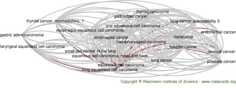 scene explain Draw Squamous Cell Carcinoma disease: Malacards - Research Articles, Drugs,  Genes, Clinical Trials