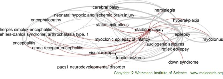 Diseases related to Startle Epilepsy