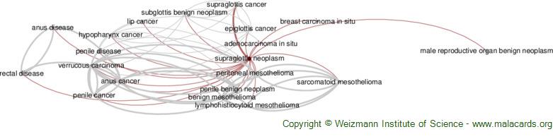 Diseases related to Supraglottis Neoplasm