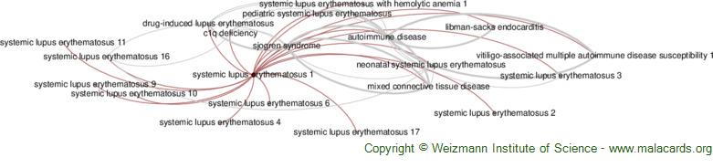 Diseases related to Systemic Lupus Erythematosus 1