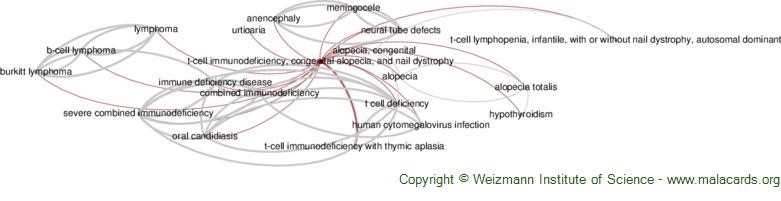 Diseases related to T-Cell Immunodeficiency, Congenital Alopecia, and Nail Dystrophy