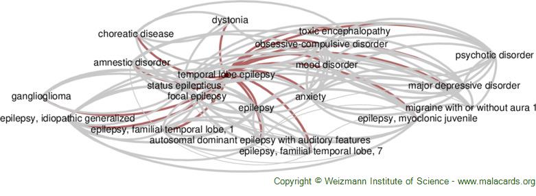 Diseases related to Temporal Lobe Epilepsy