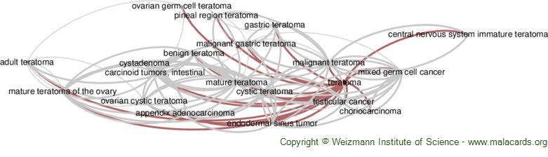 Diseases related to Teratoma