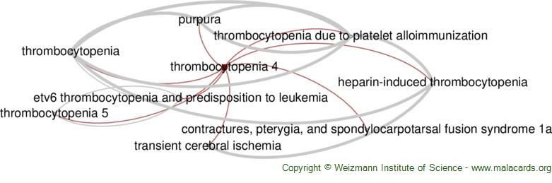 Diseases related to Thrombocytopenia 4