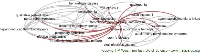 Diseases related to Thrombocytopenic Purpura, Autoimmune