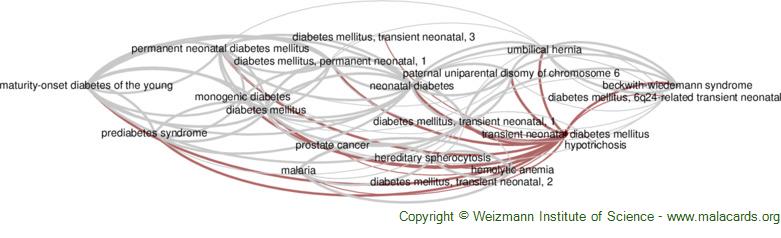 Diseases related to Transient Neonatal Diabetes Mellitus