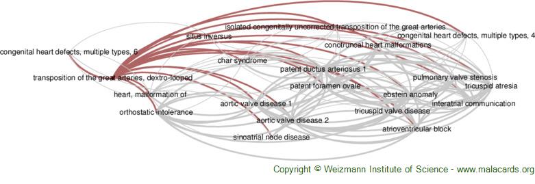 Diseases related to Transposition of the Great Arteries, Dextro-Looped