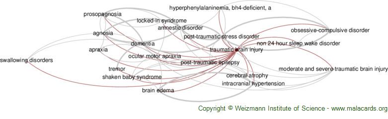 Diseases related to Traumatic Brain Injury