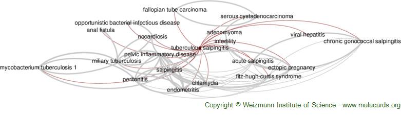Diseases related to Tuberculous Salpingitis