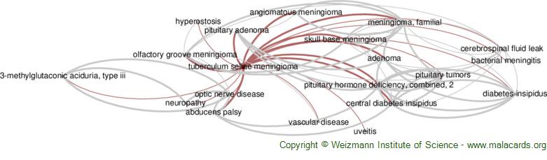 Diseases related to Tuberculum Sellae Meningioma